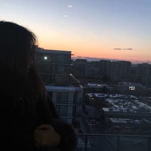 Meet your Posher, Sylvester